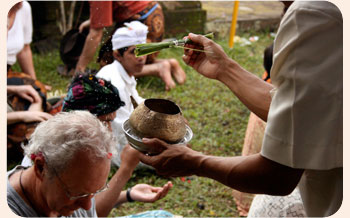 balipaul balipaul